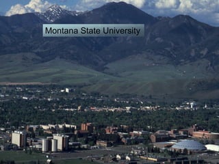 Montana State University
 