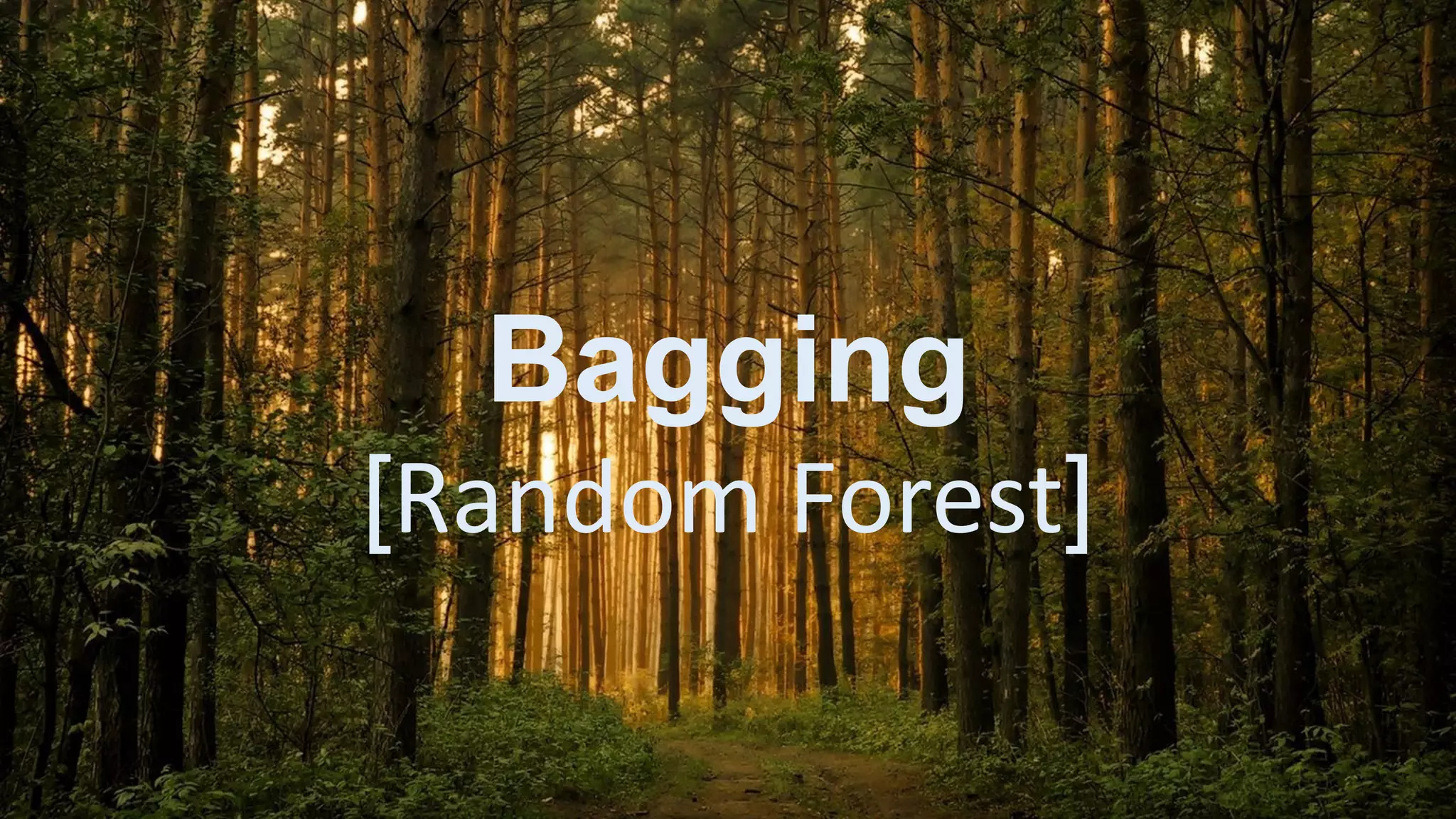 Bagging
[Random Forest]
 