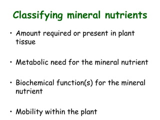 Classifying mineral nutrients
• Amount required or present in plant
tissue
• Metabolic need for the mineral nutrient
• Biochemical function(s) for the mineral
nutrient
• Mobility within the plant
 