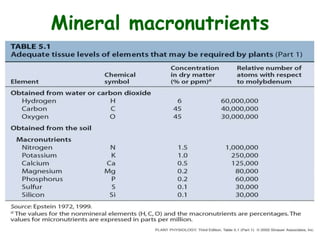 Mineral macronutrients
 