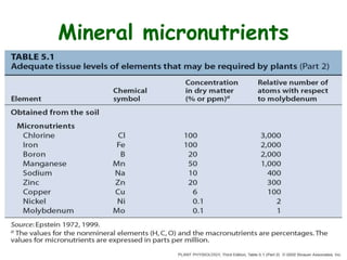 Mineral micronutrients
 