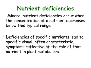 Nutrient deficiencies
Mineral nutrient deficiencies occur when
the concentration of a nutrient decreases
below this typical range
• Deficiencies of specific nutrients lead to
specific visual, often characteristic,
symptoms reflective of the role of that
nutrient in plant metabolism
 