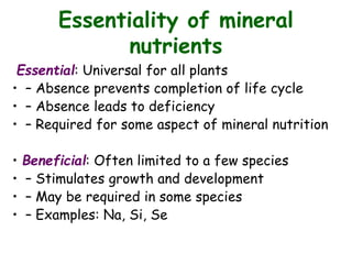 Essentiality of mineral
nutrients
Essential: Universal for all plants
• – Absence prevents completion of life cycle
• – Absence leads to deficiency
• – Required for some aspect of mineral nutrition
• Beneficial: Often limited to a few species
• – Stimulates growth and development
• – May be required in some species
• – Examples: Na, Si, Se
 