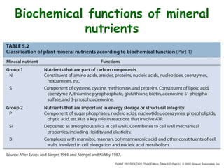 Biochemical functions of mineral
nutrients
 