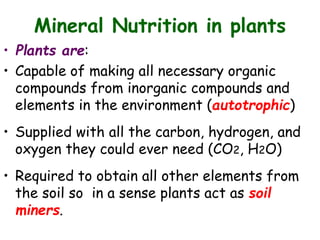 Mineral Nutrition in plants
• Plants are:
• Capable of making all necessary organic
compounds from inorganic compounds and
elements in the environment (autotrophic)
• Supplied with all the carbon, hydrogen, and
oxygen they could ever need (CO2, H2O)
• Required to obtain all other elements from
the soil so in a sense plants act as soil
miners.
 