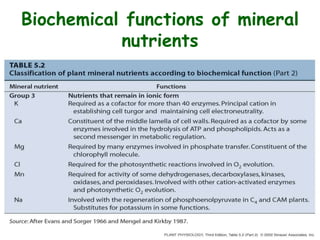 Biochemical functions of mineral
nutrients
 