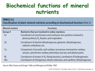 Biochemical functions of mineral
nutrients
 