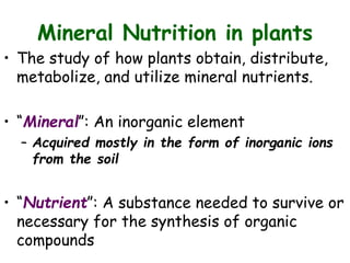 Mineral Nutrition in plants
• The study of how plants obtain, distribute,
metabolize, and utilize mineral nutrients.
• “Mineral”: An inorganic element
– Acquired mostly in the form of inorganic ions
from the soil
• “Nutrient”: A substance needed to survive or
necessary for the synthesis of organic
compounds
 