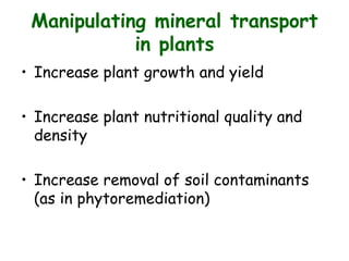 Manipulating mineral transport
in plants
• Increase plant growth and yield
• Increase plant nutritional quality and
density
• Increase removal of soil contaminants
(as in phytoremediation)
 