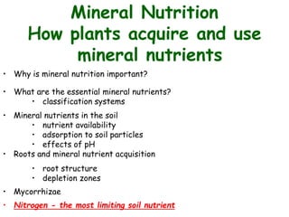 Mineral Nutrition
How plants acquire and use
mineral nutrients
• Why is mineral nutrition important?
• What are the essential mineral nutrients?
• classification systems
• Mineral nutrients in the soil
• nutrient availability
• adsorption to soil particles
• effects of pH
• Roots and mineral nutrient acquisition
• root structure
• depletion zones
• Mycorrhizae
• Nitrogen - the most limiting soil nutrient
 