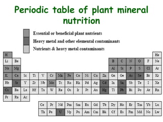 Periodic table of plant mineral
nutrition
 
