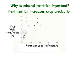 Why is mineral nutrition important?
Fertilization increases crop production
Crop
Yield,
tons/hecta
re
Fertilizer used, kg/hectare
 