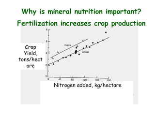 Add more fertilizer nitrogen, get more crop production.
Crop
Yield,
tons/hect
are
Nitrogen added, kg/hectare
Why is mineral nutrition important?
Fertilization increases crop production
 