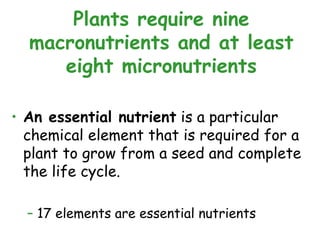• An essential nutrient is a particular
chemical element that is required for a
plant to grow from a seed and complete
the life cycle.
– 17 elements are essential nutrients
Plants require nine
macronutrients and at least
eight micronutrients
 
