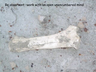 Be observant –work with an open unencumbered mind
 
