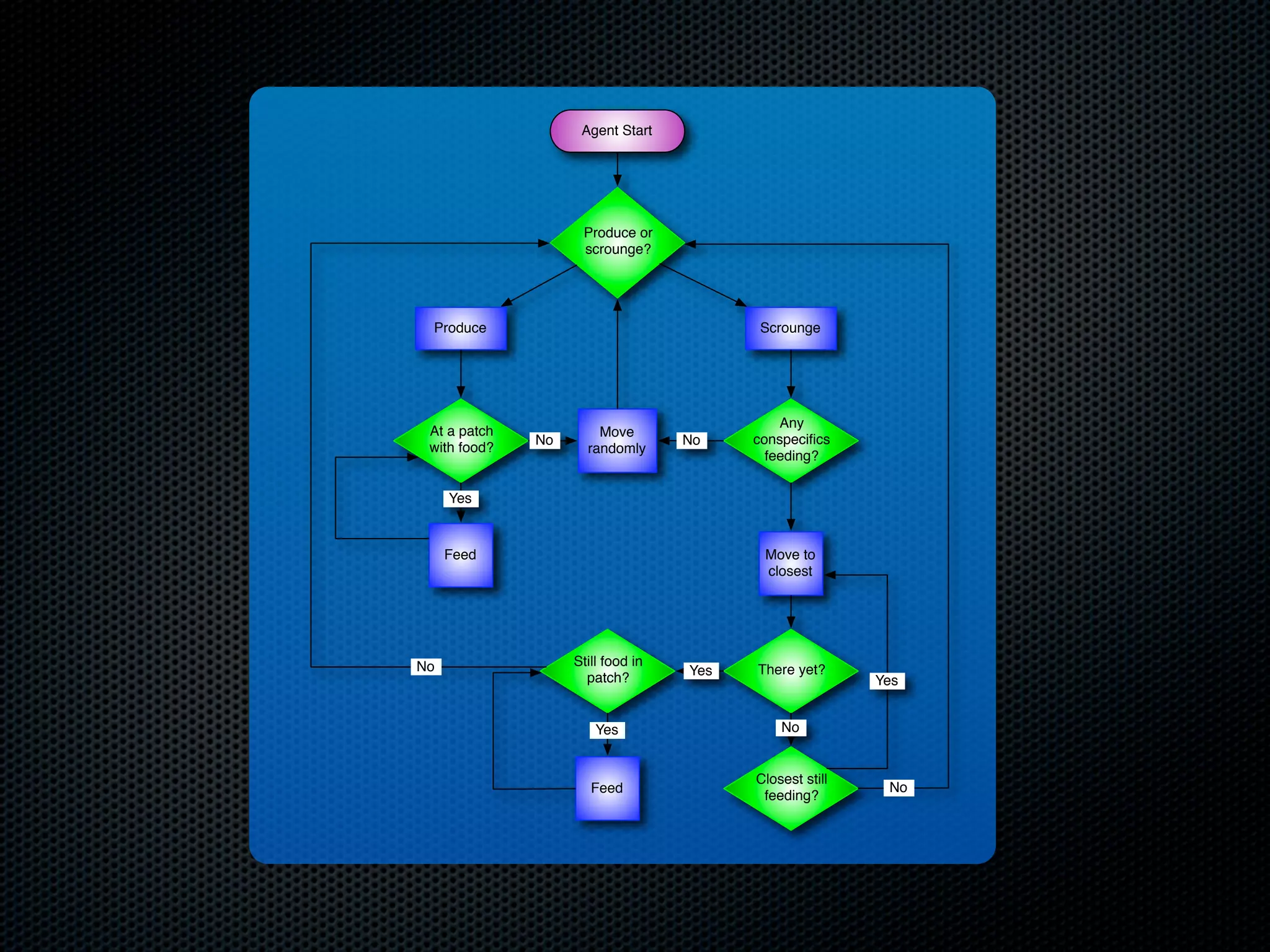 Agent Start

Produce or
scrounge?

Produce

At a patch
with food?

Scrounge

No

Move
randomly

No

Any
conspeciﬁcs
feeding?

Yes

Feed

No

Move to
closest

Still food in
patch?

Yes

There yet?

Yes

No

Feed

Closest still
feeding?

Yes

No

 