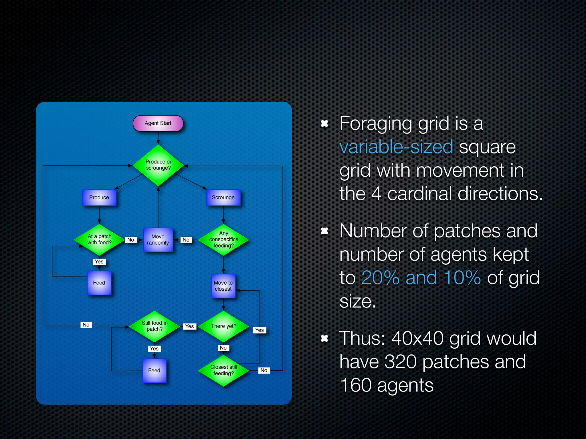 Foraging grid is a
variable-sized square
grid with movement in
the 4 cardinal directions.

Agent Start

Produce or
scrounge?

Produce

At a patch
with food?

Scrounge

No

Move
randomly

No

Number of patches and
number of agents kept
to 20% and 10% of grid
size.

Any
conspeciﬁcs
feeding?

Yes

Feed

No

Move to
closest

Still food in
patch?

Yes

There yet?

Yes

No

Feed

Closest still
feeding?

Yes

No

Thus: 40x40 grid would
have 320 patches and
160 agents

 
