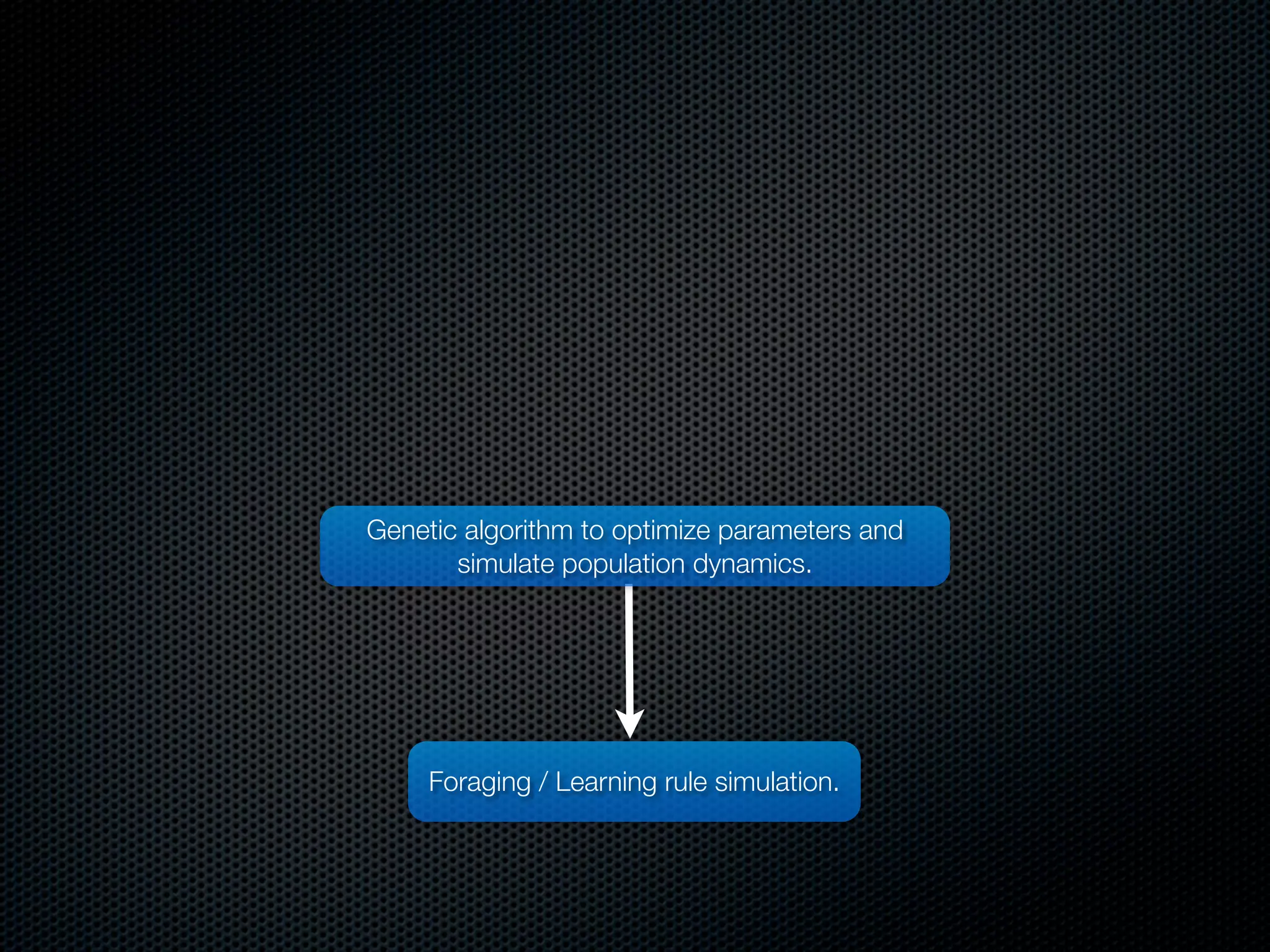 Genetic algorithm to optimize parameters and
simulate population dynamics.

Foraging / Learning rule simulation.

 