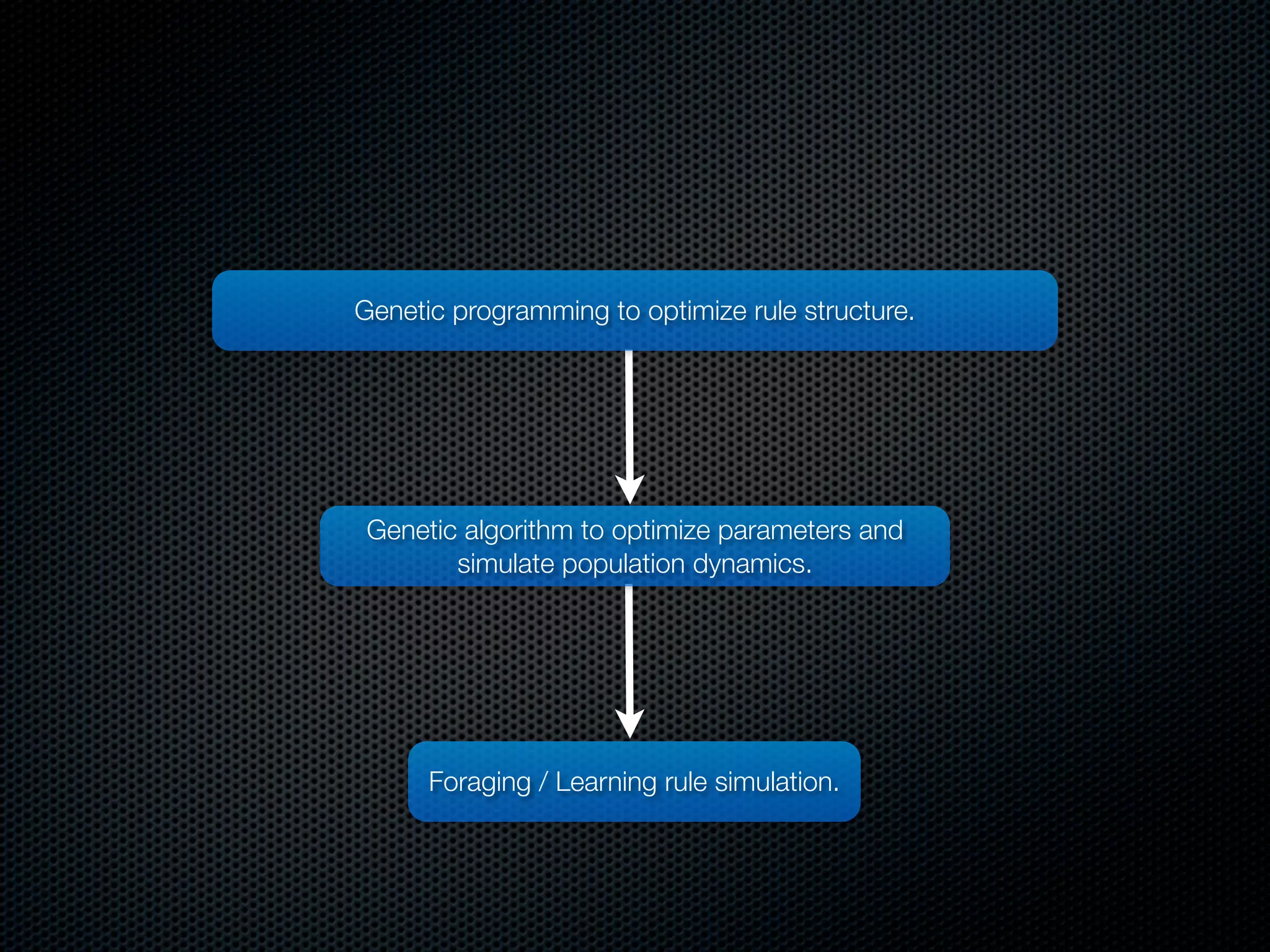 Genetic programming to optimize rule structure.

Genetic algorithm to optimize parameters and
simulate population dynamics.

Foraging / Learning rule simulation.

 