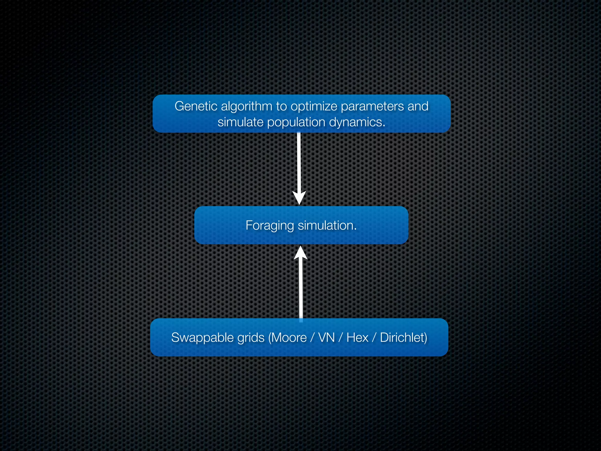 Genetic algorithm to optimize parameters and
simulate population dynamics.

Foraging simulation.

Swappable grids (Moore / VN / Hex / Dirichlet)

 