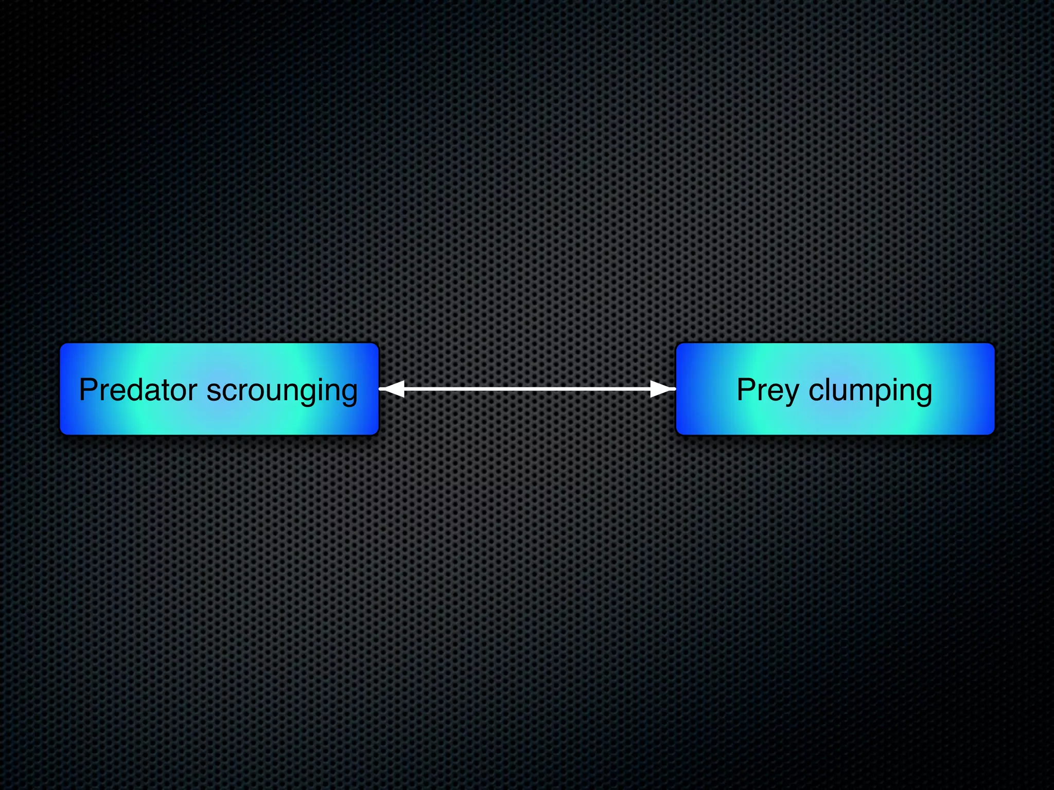 Predator scrounging

Prey clumping

 