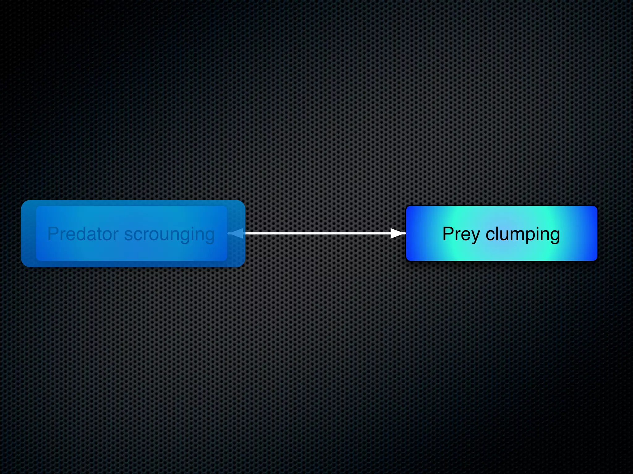 Predator scrounging

Prey clumping

 