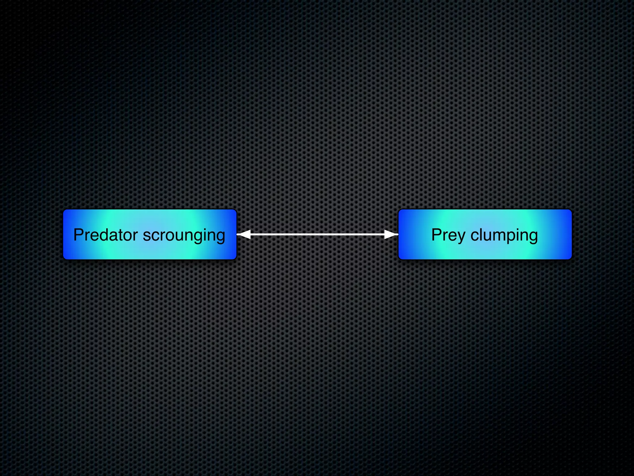 Predator scrounging

Prey clumping

 