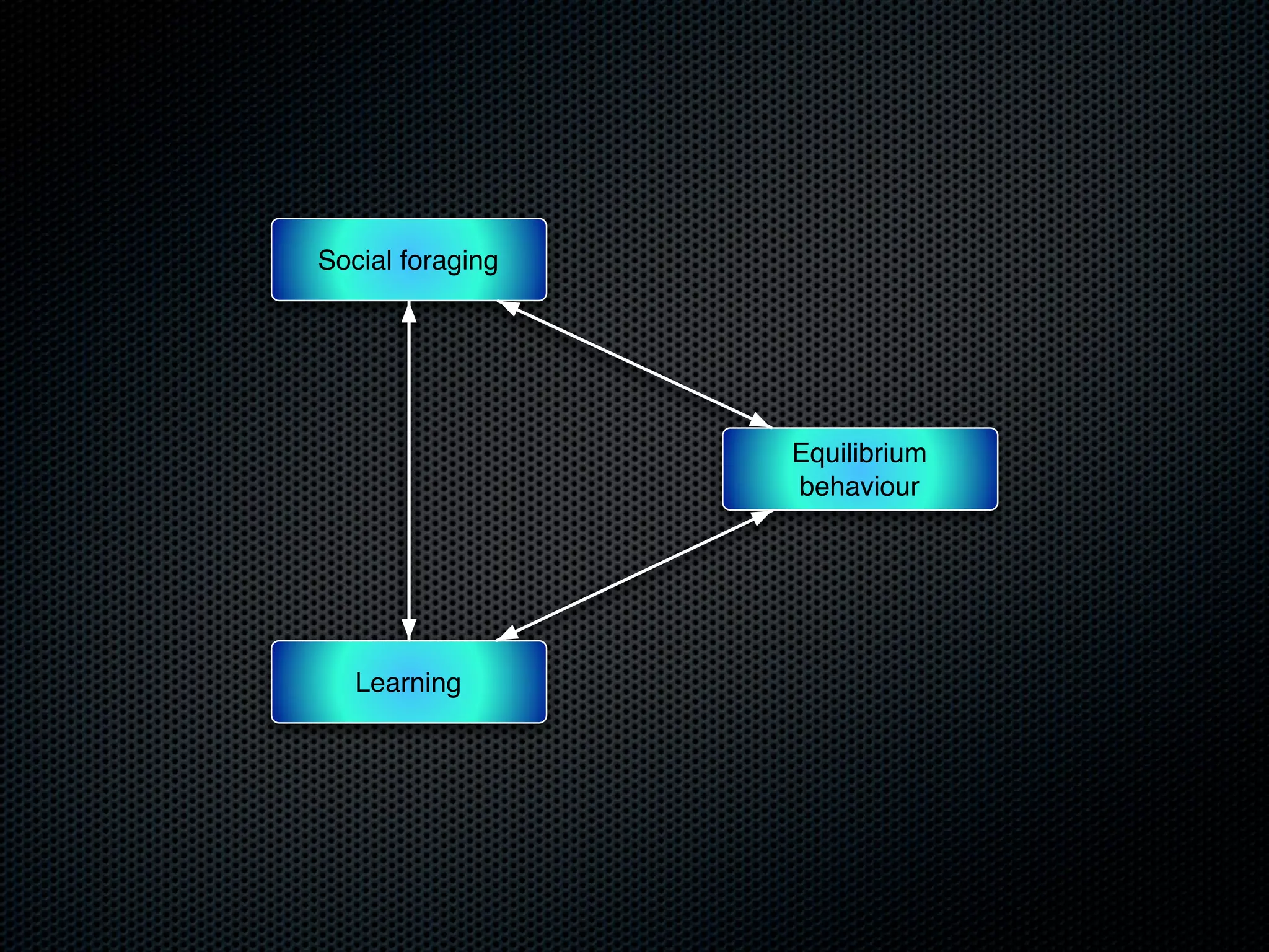 Social foraging

Equilibrium
behaviour

Learning

 