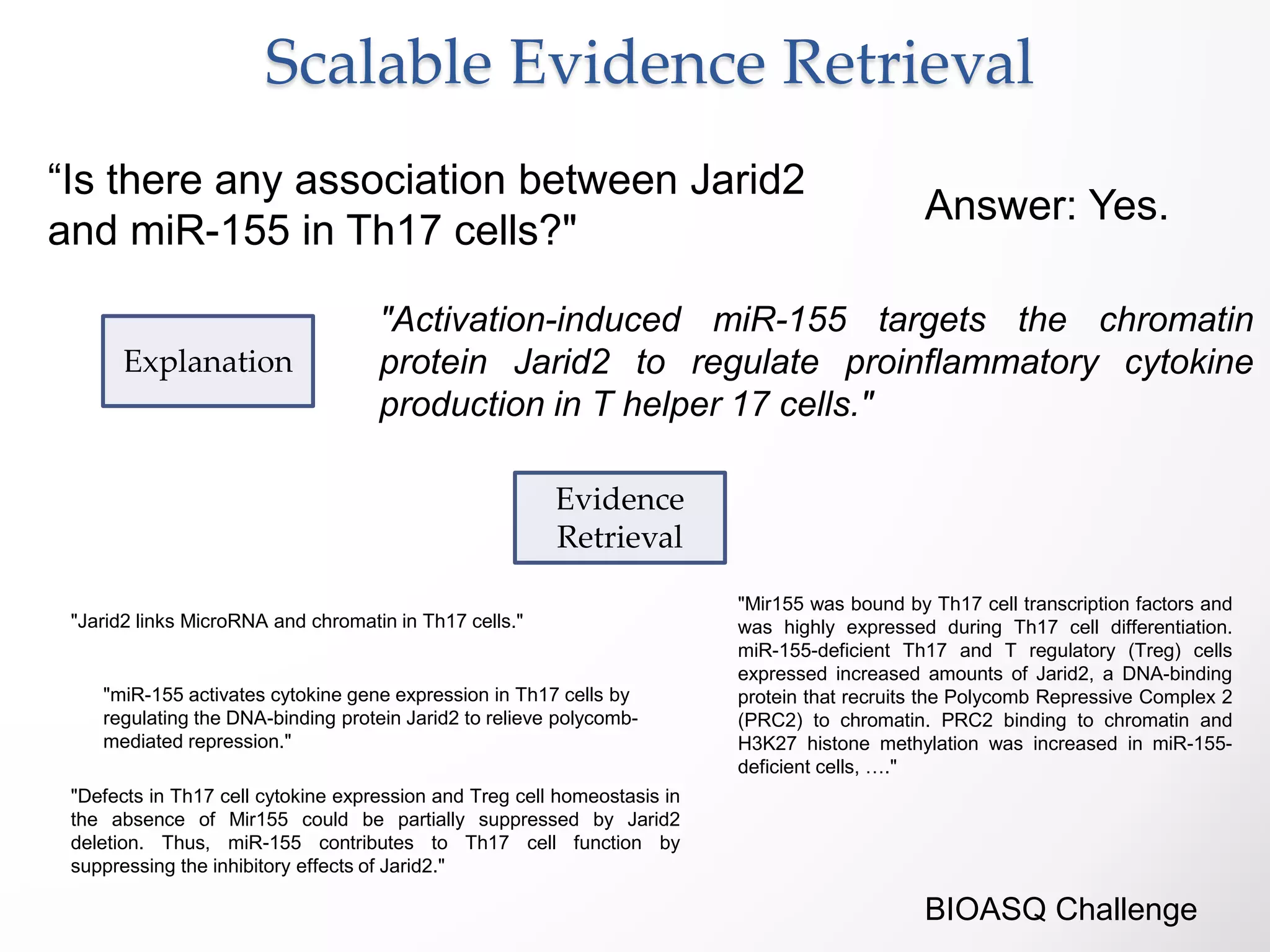 Scalable Evidence Retrieval
“Is there any association between Jarid2
and miR-155 in Th17 cells?"
"Activation-induced miR-155 targets the chromatin
protein Jarid2 to regulate proinflammatory cytokine
production in T helper 17 cells."
BIOASQ Challenge
"Jarid2 links MicroRNA and chromatin in Th17 cells."
"miR-155 activates cytokine gene expression in Th17 cells by
regulating the DNA-binding protein Jarid2 to relieve polycomb-
mediated repression."
"Mir155 was bound by Th17 cell transcription factors and
was highly expressed during Th17 cell differentiation.
miR-155-deficient Th17 and T regulatory (Treg) cells
expressed increased amounts of Jarid2, a DNA-binding
protein that recruits the Polycomb Repressive Complex 2
(PRC2) to chromatin. PRC2 binding to chromatin and
H3K27 histone methylation was increased in miR-155-
deficient cells, …."
"Defects in Th17 cell cytokine expression and Treg cell homeostasis in
the absence of Mir155 could be partially suppressed by Jarid2
deletion. Thus, miR-155 contributes to Th17 cell function by
suppressing the inhibitory effects of Jarid2."
Evidence
Retrieval
Explanation
Answer: Yes.
 