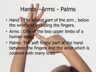 Hands –Arms - Palms Hand : The lowest part of the arm , below the wrist and including the fingers. Arms : One of the two upper limbs of a human being Palms: The soft fleshy part of the hand between the fingers and the wrist which is covered with many lines 