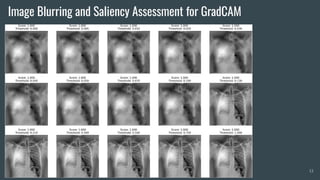Image Blurring and Saliency Assessment for GradCAM
13
 