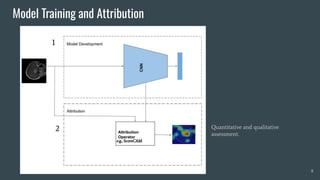 Model Training and Attribution
8
1
2
e.g., ScoreCAM
Quantitative and qualitative
assessment.
 