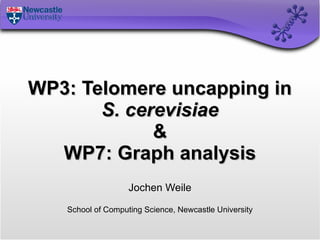 WP3: Telomere uncapping in S. cerevisiae & WP7: Graph analysis Jochen Weile School of Computing Science, Newcastle University 