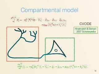 Compartmental model
10
Hindmarsh & Serban
`2007 Scholarpedia
CVODE
 