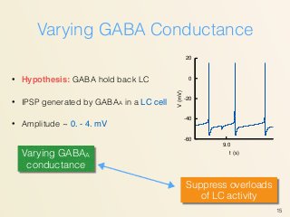 Varying GABA Conductance
• Hypothesis: GABA hold back LC
• IPSP generated by GABAA in a LC cell
• Amplitude ~ 0. - 4. mV
15
-60
-40
-20
0
20
9.0
V(mV)
t (s)Varying GABAA
conductance
Suppress overloads
of LC activity
 