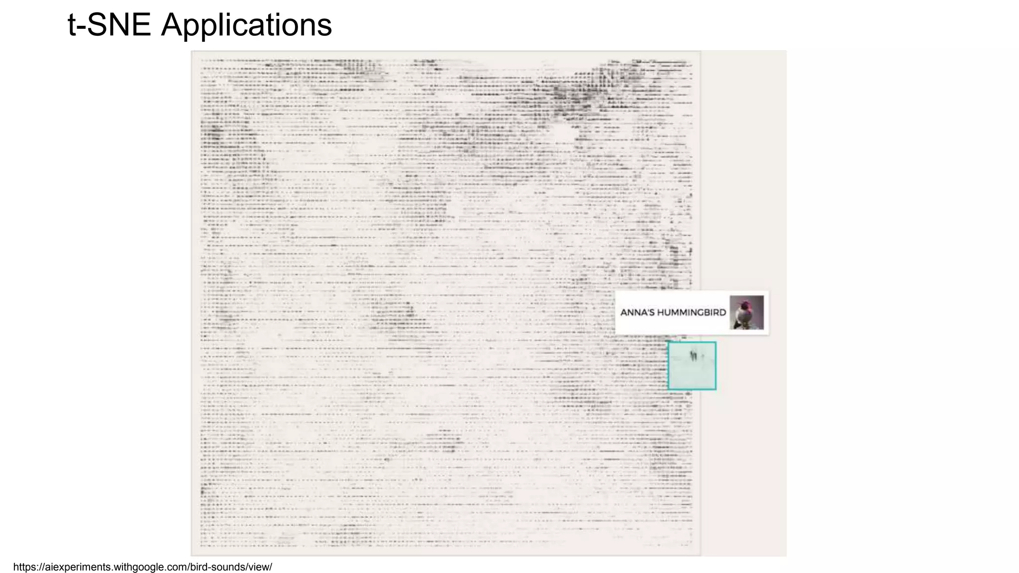 t-SNE Applications
https://aiexperiments.withgoogle.com/bird-sounds/view/
 