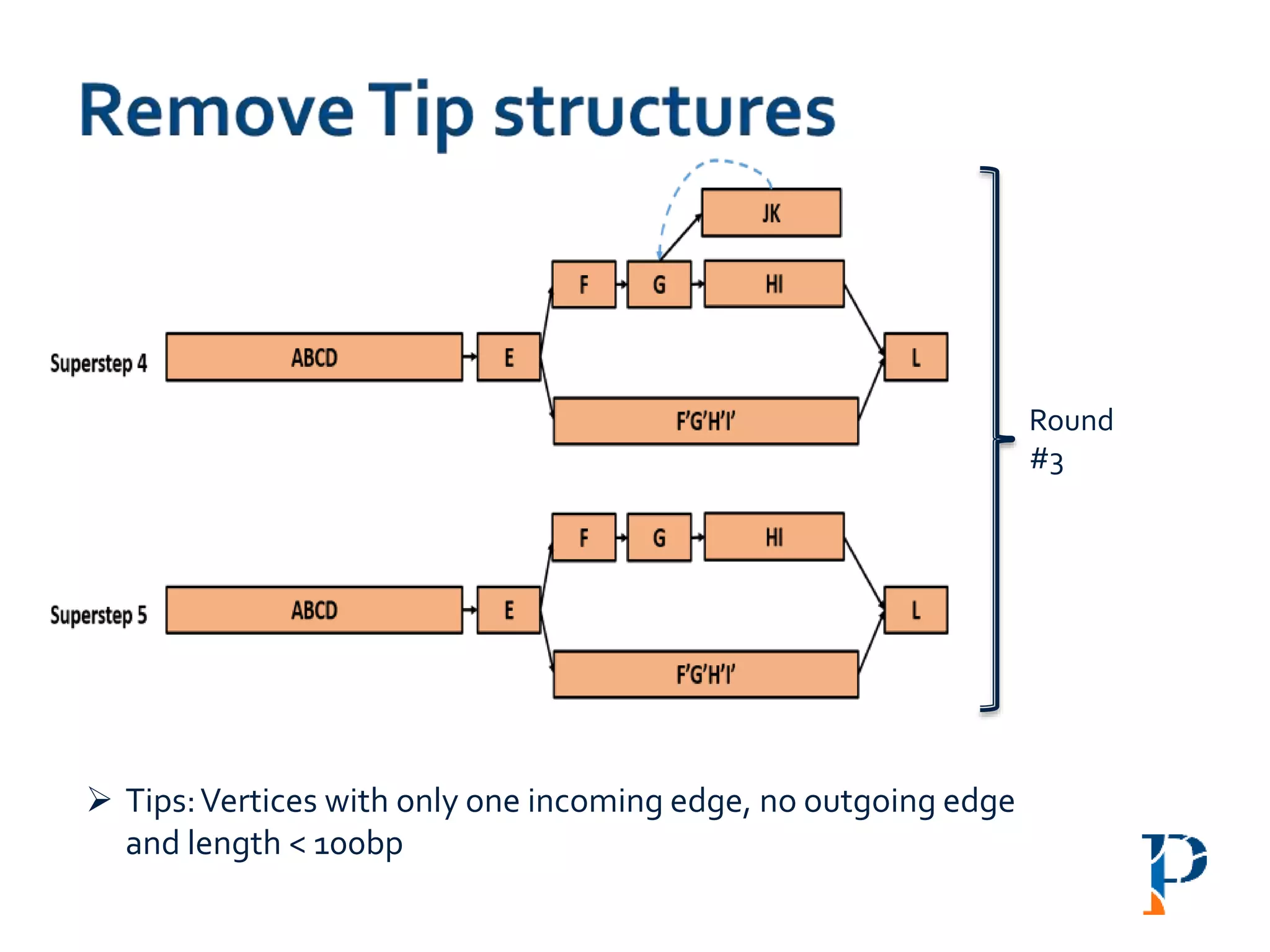 Round
#3
 Tips:Vertices with only one incoming edge, no outgoing edge
and length < 100bp
 