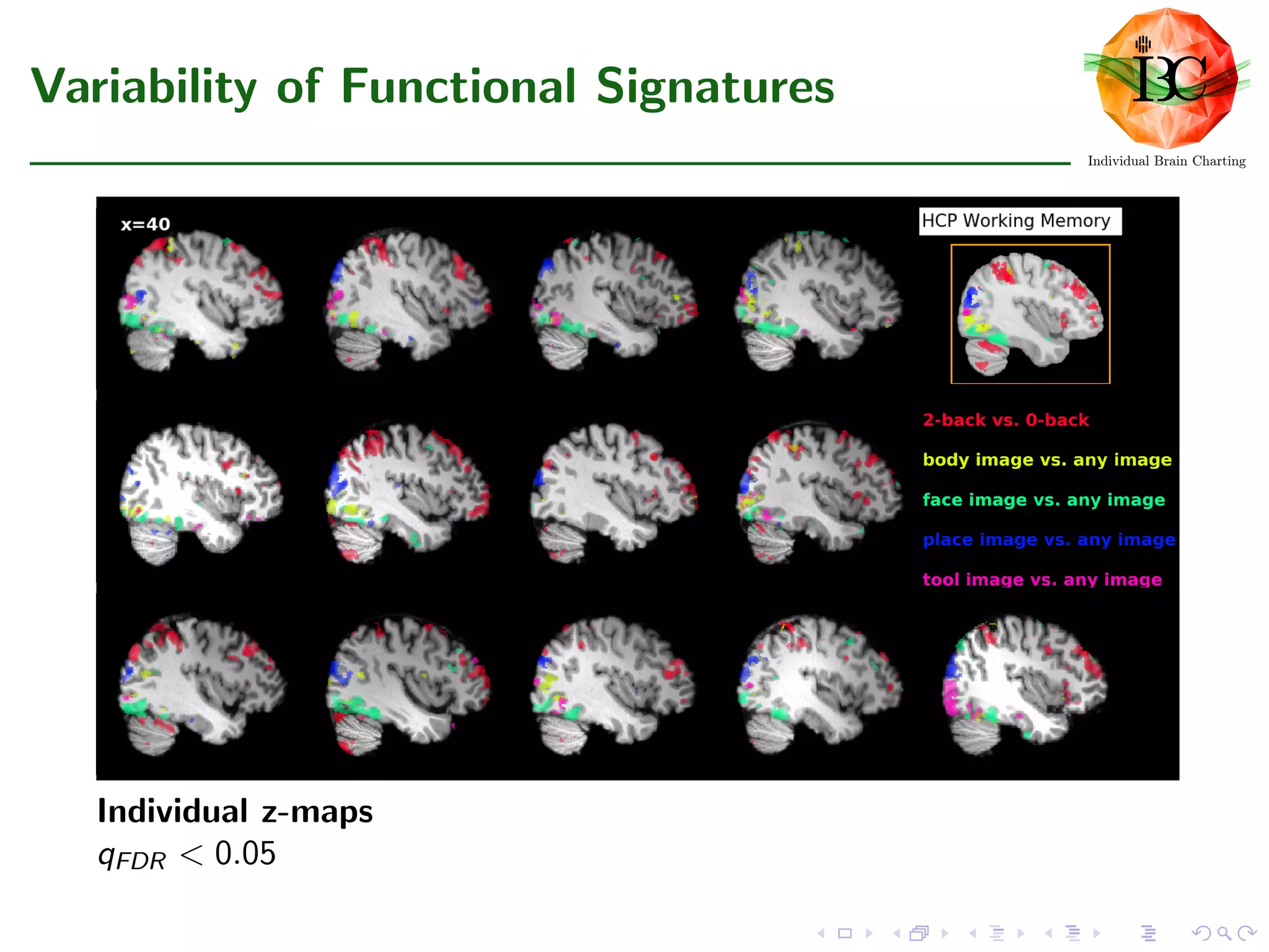 Variability of Functional Signatures
Individual z-maps
qFDR < 0.05
 