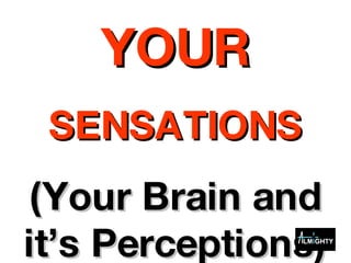 YOUR SENSATIONS (Your Brain and it’s Perceptions) 
