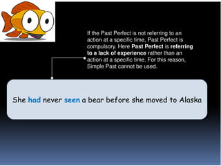 She had never seen a bear before she moved to Alaska
She had never seen a bear before she moved to Alaska
 