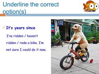 Underline the correct
option(s)

   It’s years since

    I’ve ridden / haven’t

    ridden / rode a bike. I’m

    not sure I could do it now.
 