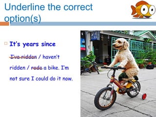 Underline the correct
option(s)

   It’s years since

    I’ve ridden / haven’t

    ridden / rode a bike. I’m

    not sure I could do it now.
 