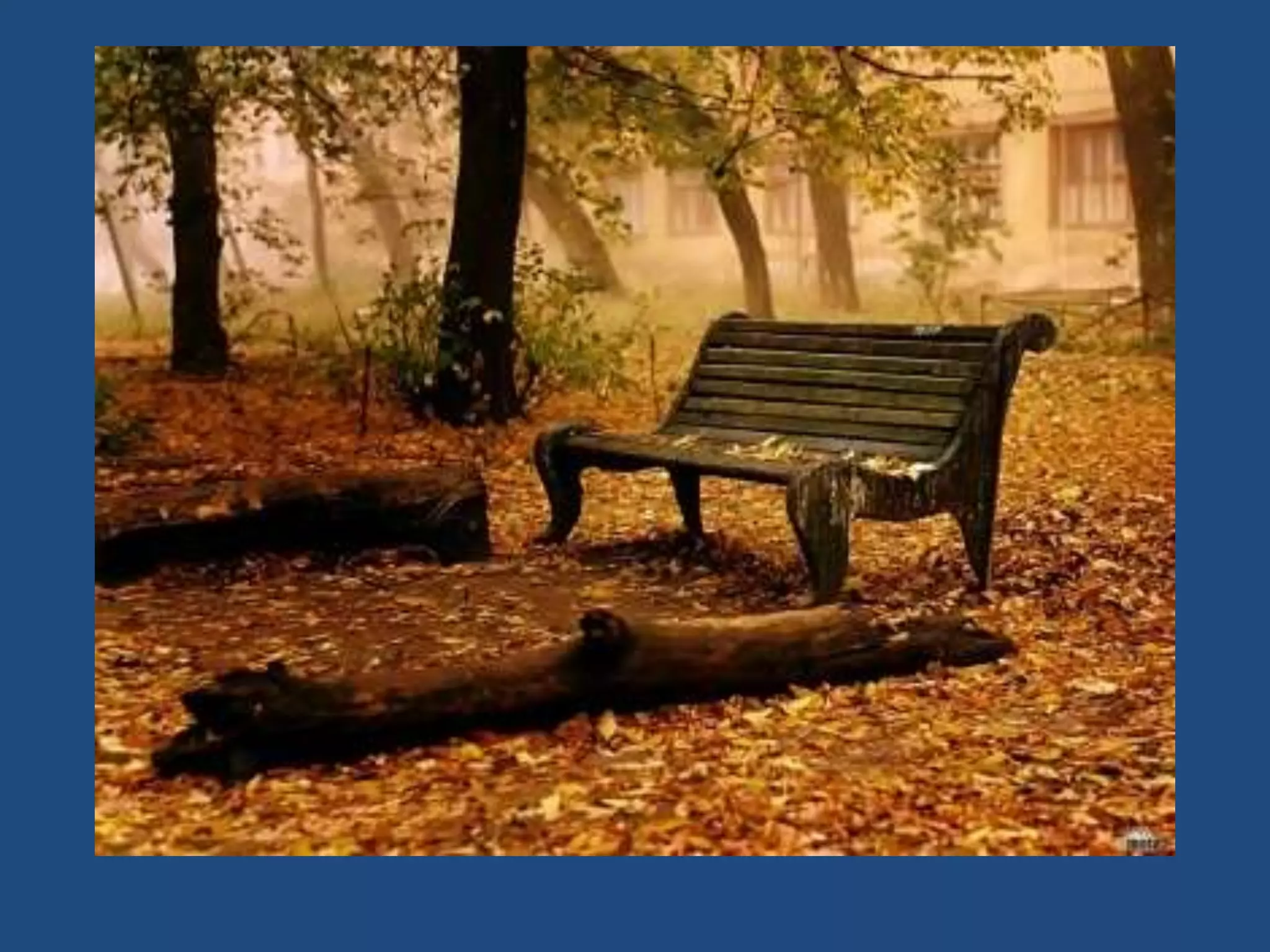 Talking about the weather