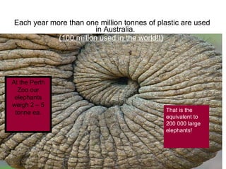 Each year more than one million tonnes of plastic are used in Australia. (100 million used in the world!!) .  At the Perth Zoo our elephants weigh 2 – 5 tonne   ea. That is the equivalent to 200 000 large elephants! 