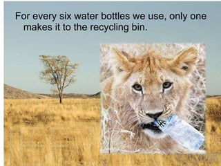 For every six water bottles we use, only one makes it to the recycling bin.  
