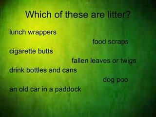 Which of these are litter? lunch wrappers   food scraps cigarette butts   fallen leaves or twigs drink bottles and cans   dog poo an old car in a paddock   