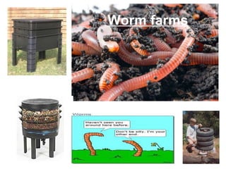Worm farms 