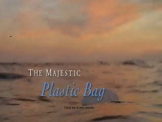 Click for 4 min movie 