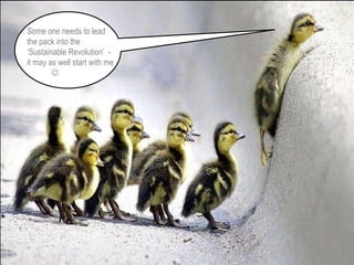 Some one needs to lead the pack into the ‘Sustainable Revolution’  - it may as well start with me   