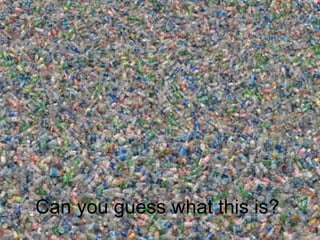 Can you guess what this is? 